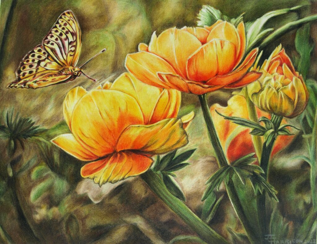 Butterfly dance, monarch butterfly over yellow roses